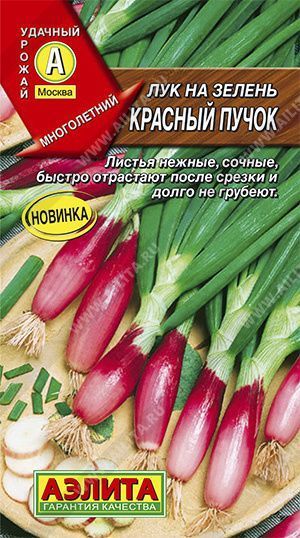 Семена лук на зелень Красный Пучок, Аэлита: фото