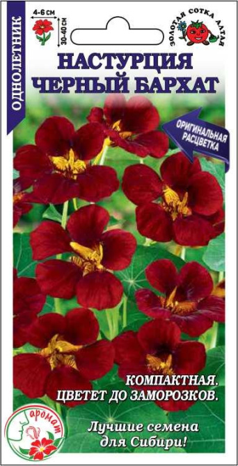 Семена настурция Черный Бархат,  Золотая сотка: фото