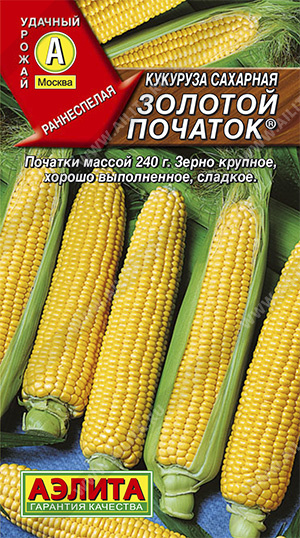 Семена кукуруза сахарная Золотой Початок, Аэлита: фото