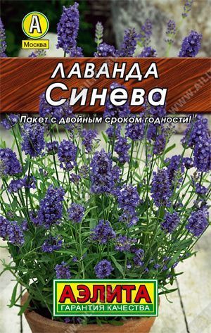 Семена лаванда Синева, Аэлита: фото