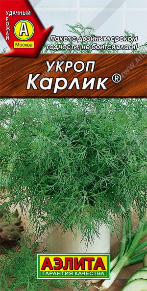 Семена укроп Карлик, Аэлита: фото