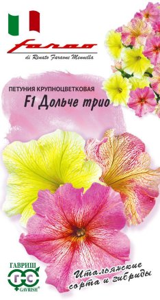 Семена петуния Дольче Трио F1, Гавриш: фото