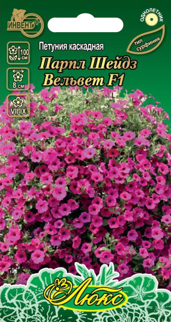 Петуния Парпл Шейдз Вельвет F1 (серия ЛЮКС), ИНВЕНТ+: фото