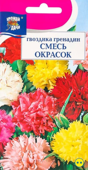 Семена гвоздика Гренадин, смесь, Урожай удачи: фото