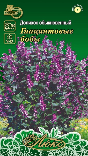 Долихос обыквенный Гиацинтовые Бобы (серия ЛЮКС), ИНВЕНТ+: фото