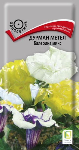 Семена дурман метел Балерина Микс, Поиск: фото