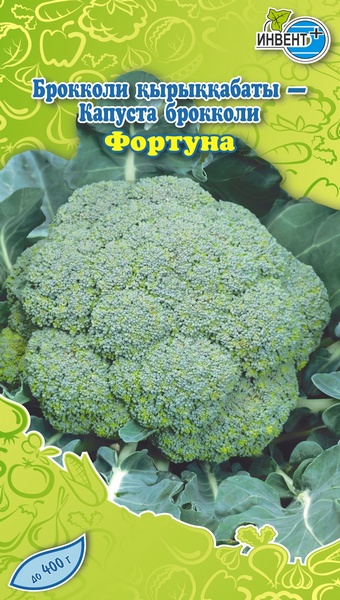 Капуста брокколи Фортуна, ИНВЕНТ+: фото