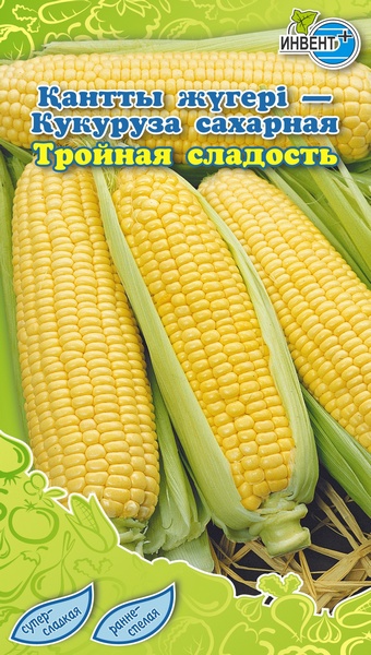 Кукуруза сахарная Тройная Сладость, ИНВЕНТ+: фото