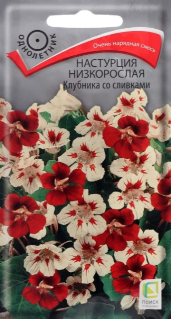 Семена настурция Клубника со сливками,  Поиск: фото