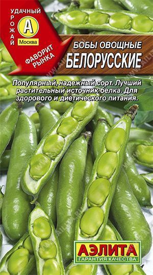 Семена бобы овощные Белорусские, Аэлита: фото
