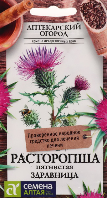 Семена расторопша пятнистая Здравница, Семена Алтая: фото