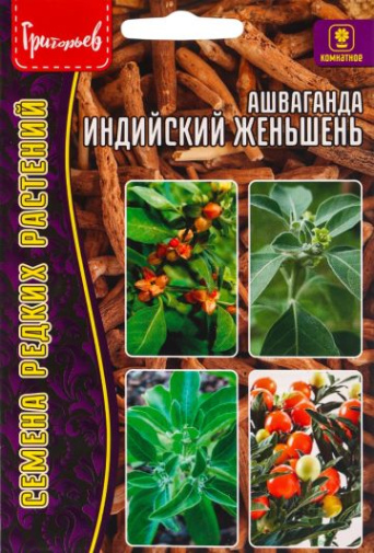 Семена ашваганда Индийский женьшень, Григорьев: фото