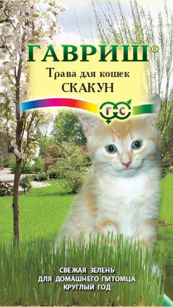 Семена трава для кошек Скакун, Гавриш: фото