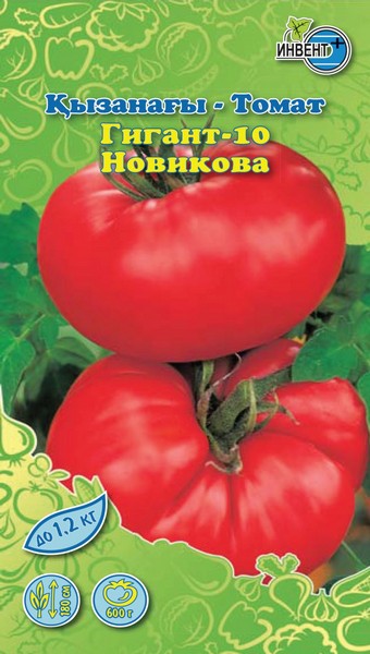 Томат Гигант-10 Новикова, ИНВЕНТ+: фото
