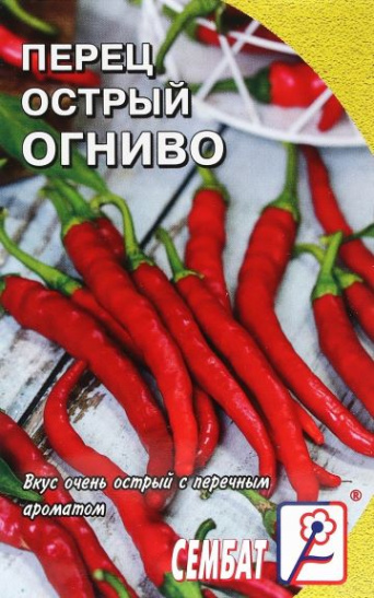 Семена перец острый Огниво, Сембат: фото