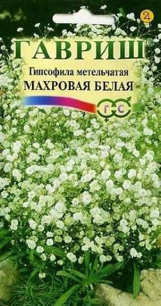 Семена гипсофила метельчатая Махровая белая, Гавриш: фото