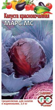 Семена капуста краснокочанная Марс МС,  Гавриш: фото