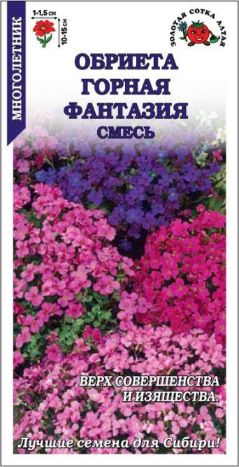 Семена обриета Горная Фантазия смесь, Золотая Сотка: фото