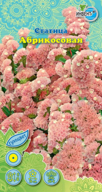 Статица Абрикосовая, ИНВЕНТ+: фото