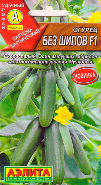 Семена огурец Без шипов F1, Аэлита: фото