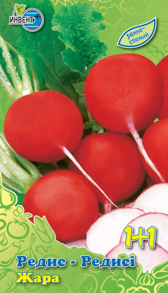 Редис Жара 1+1, ИНВЕНТ+: фото