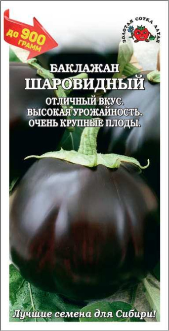 Семена баклажан Шаровидный, Золотая сотка: фото