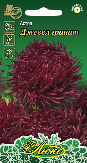 Астра Джевел Гранат (серия ЛЮКС), ИНВЕНТ+: фото