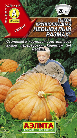 Семена тыква крупноплодная Небывалый Размах, Аэлита: фото