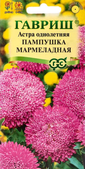 Семена астра Пампушка мармеладная розовая, помпонная, Гавриш: фото