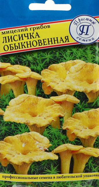 Мицелий грибов Лисичка обыкновенная, Престиж: фото