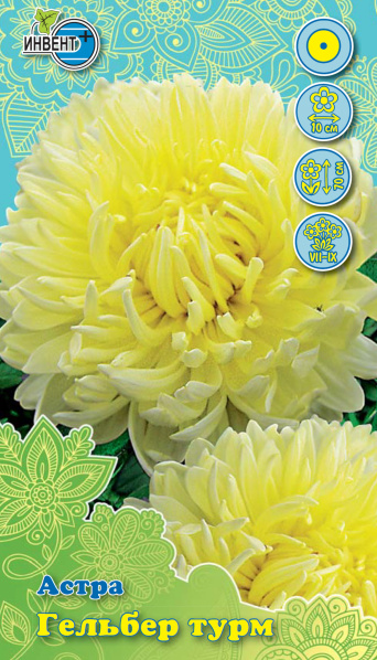 Астра Гелбер Турм, ИНВЕНТ+: фото
