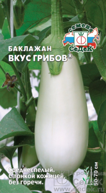 Семена баклажан Вкус грибов, Седек: фото