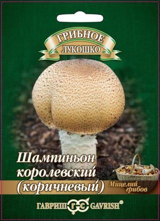 Мицелий грибов Шампиньон Королевский коричневый, Гавриш: фото