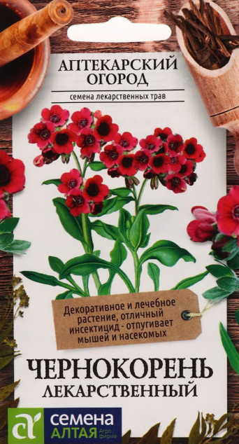 Семена чернокорень Лекарственный, Семена Алтая: фото