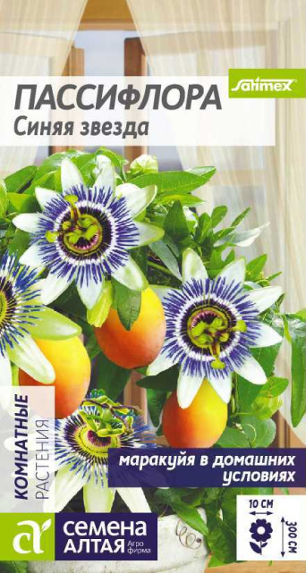 Семена пассифлора Синяя звезда, Семена Алтая: фото
