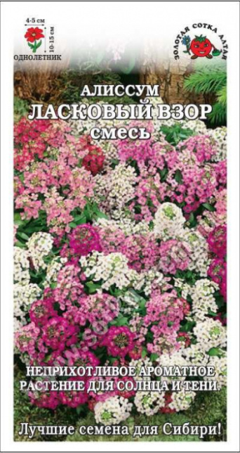 Семена алиссум Ласковый взор смесь, Золотая Сотка: фото