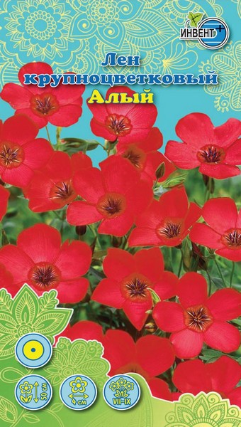 Лен крупноцветковый Алый, ИНВЕНТ+: фото