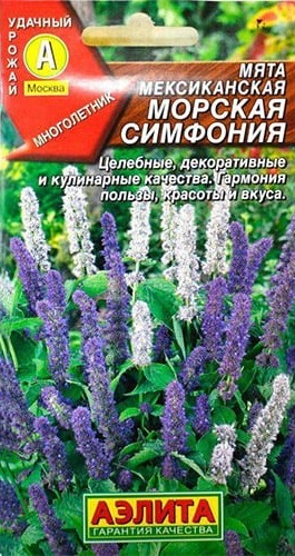 Семена мята мексиканская Морская Симфония, Аэлита: фото