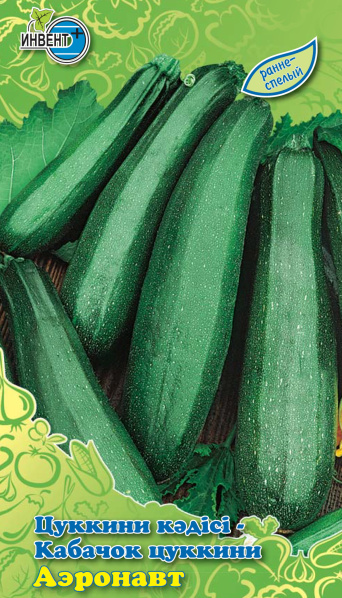 Кабачок цуккини Аэронавт, ИНВЕНТ+: фото