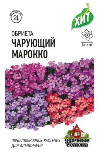 Семена обриета Чарующий Марокко, Гавриш: фото