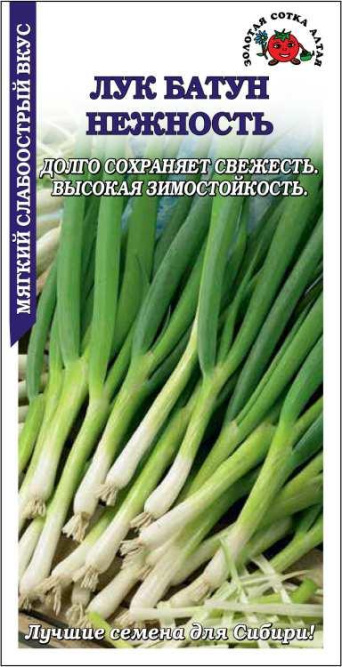 Семена лук батун Нежность, Золотая сотка     : фото