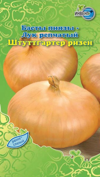 Лук репчатый Штуттгартер Ризен, ИНВЕНТ+: фото
