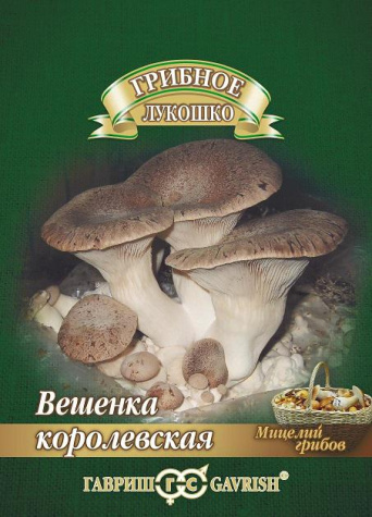 Мицелий грибов Вешенка Королевская, Гавриш: фото