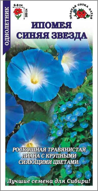 Семена ипомея Синяя Звезда, Золотая сотка: фото