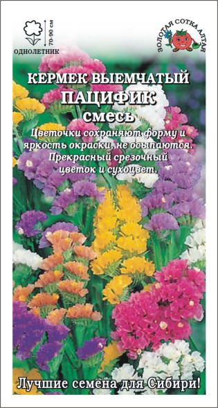 Семена кермек Пацифик смесь, Золотая сотка: фото