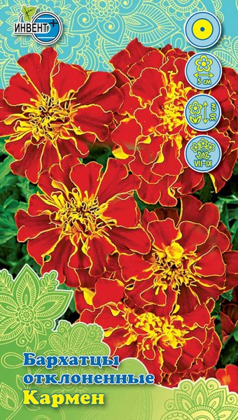 Бархатцы отклоненные Кармен, ИНВЕНТ+: фото