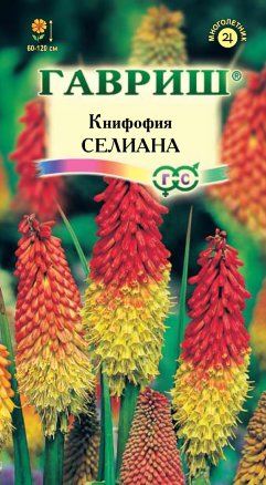 Семена книфофия ягодная (тритома) Селиана, Гавриш: фото