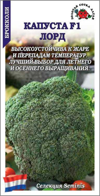 Семена капуста брокколи Лорд F1, Золотая Сотка: фото