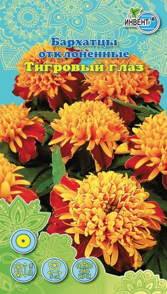 Бархатцы Тигровый глаз, ИНВЕНТ+: фото