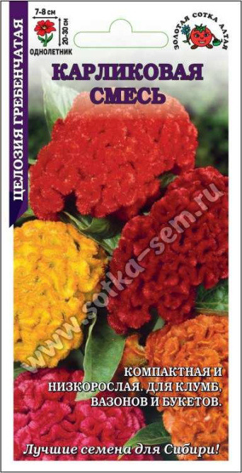 Семена целозия карликовая смесь, Золотая Сотка: фото